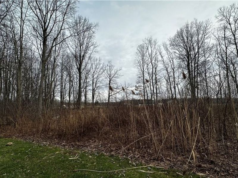 VL Rutledge Avenue, Saybrook, OH 44041 Photo 3