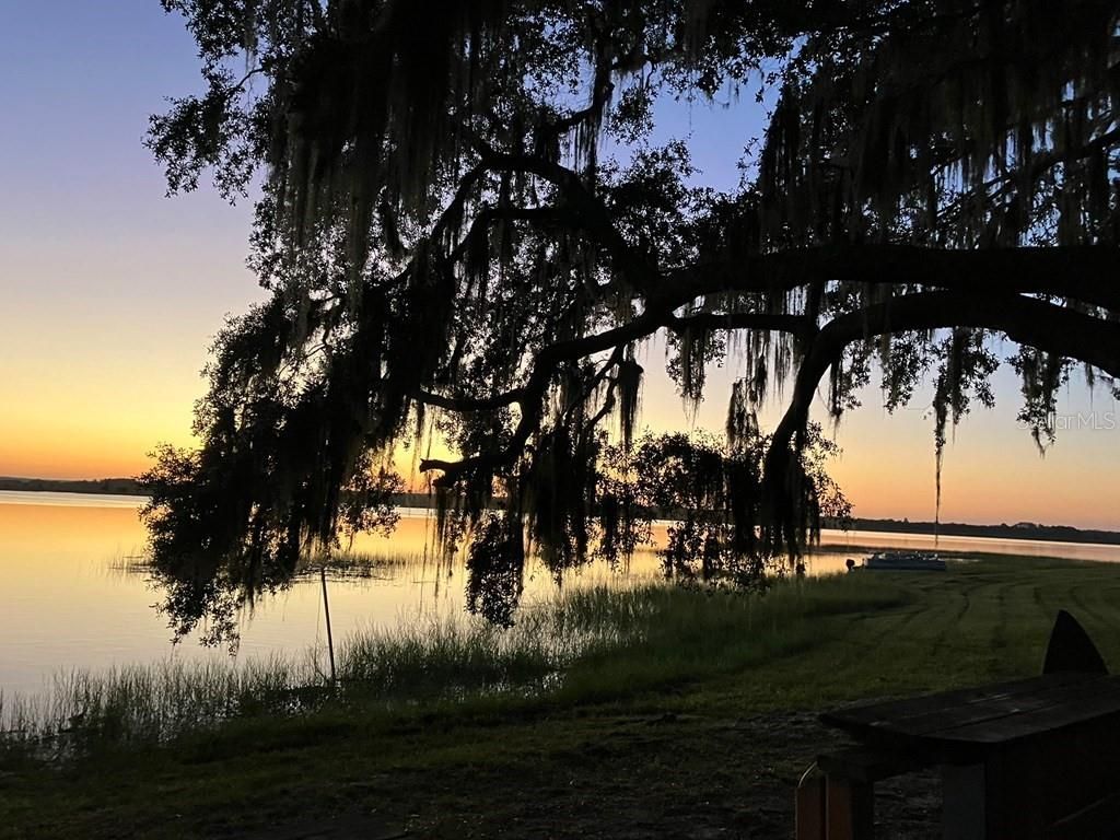 25079 NE 140th Loop , Salt Springs, FL 32134 Photo