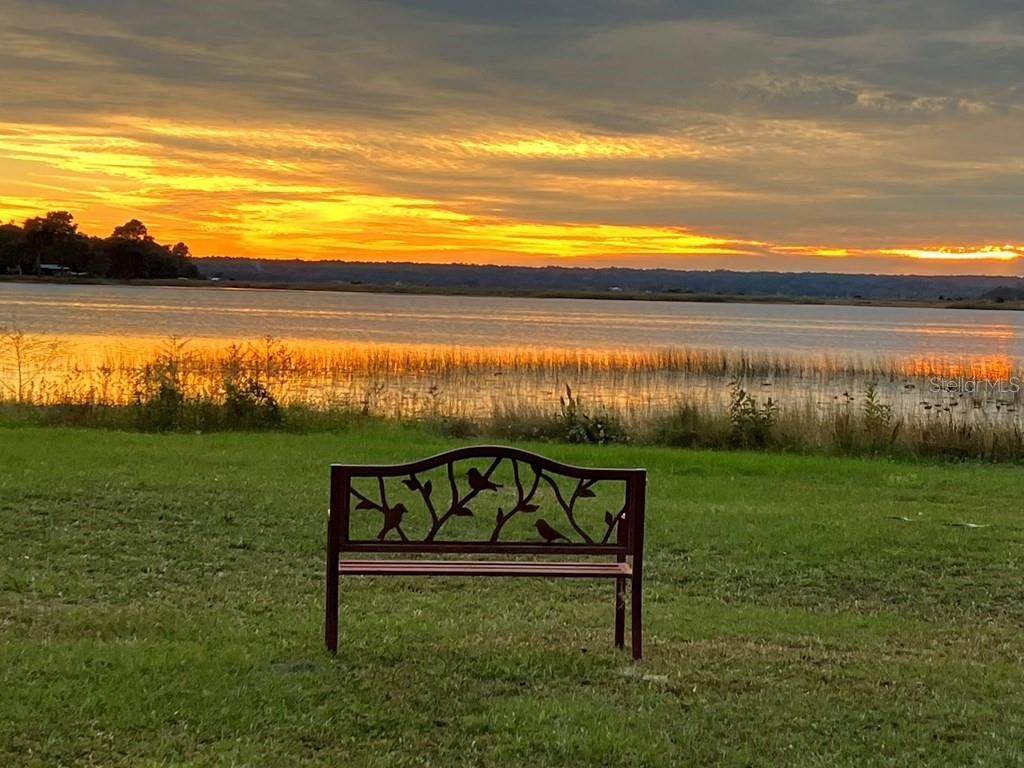 25079 NE 140th Loop , Salt Springs, FL 32134 Photo