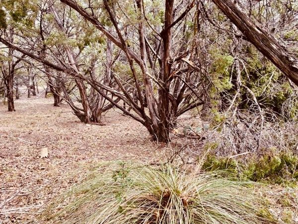 8300 Chestnut CV , Leander, TX 78645