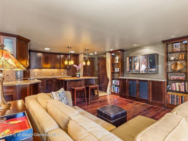 935 E Hopkins Avenue, Unit 4, Aspen, CO 81611