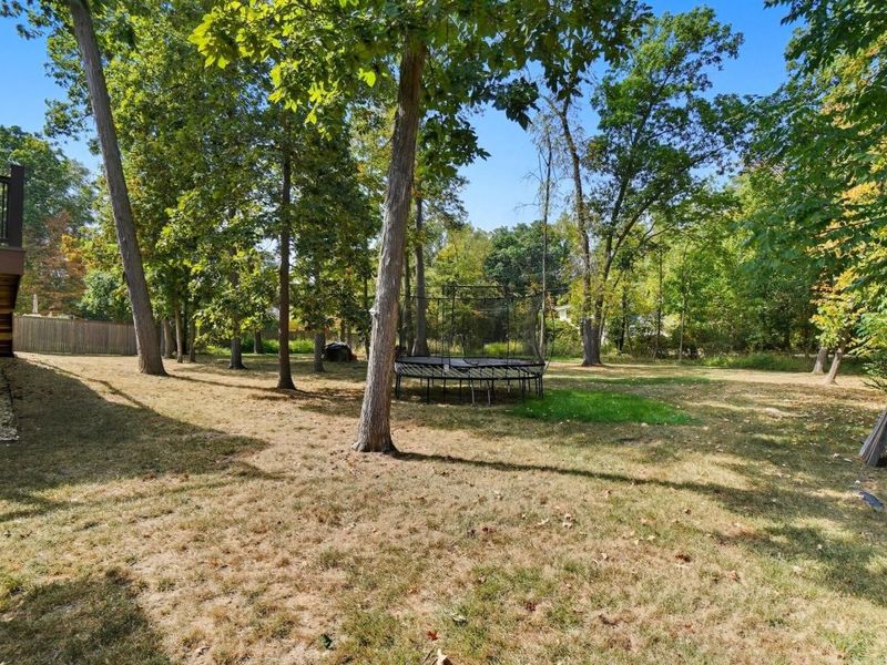 92 Buckeye Drive, Powell, OH 43065 Photo 79