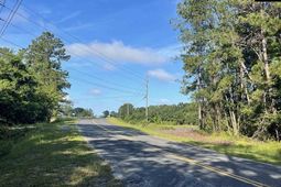 681 New Hope Road  photo 4