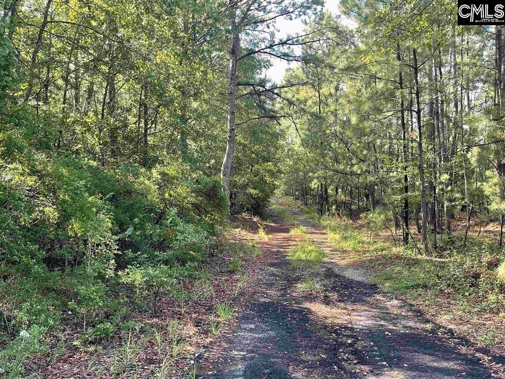 681 New Hope Road  Photo 5