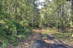 681 New Hope Road  photo 4