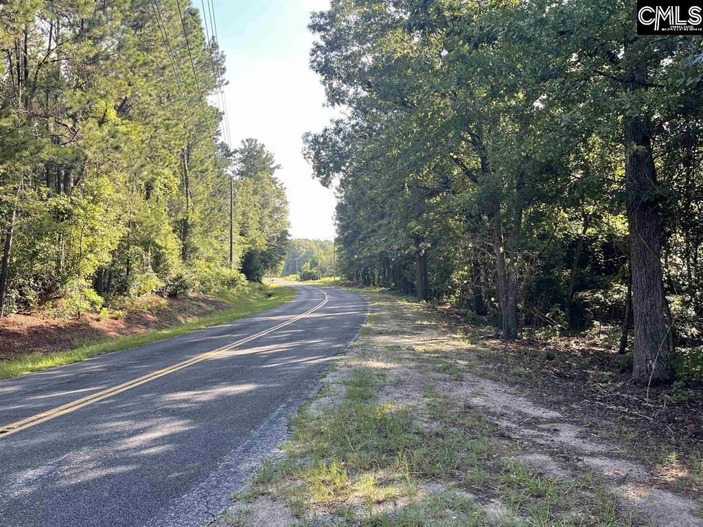 681 New Hope Road  Photo 7