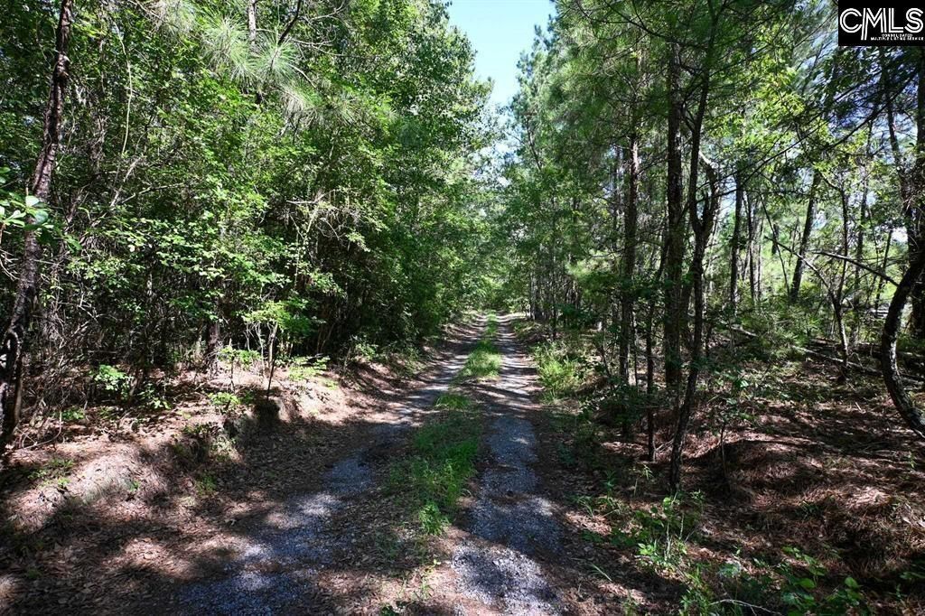 681 New Hope Road  Photo 8