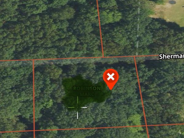 VL Sherman Road, Fountain, MI 49410