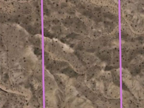 Mesa , Overton, NV 89040