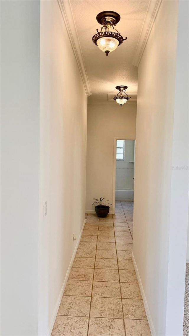 3701 W Anthony Road, Ocala, FL 34475 Photo