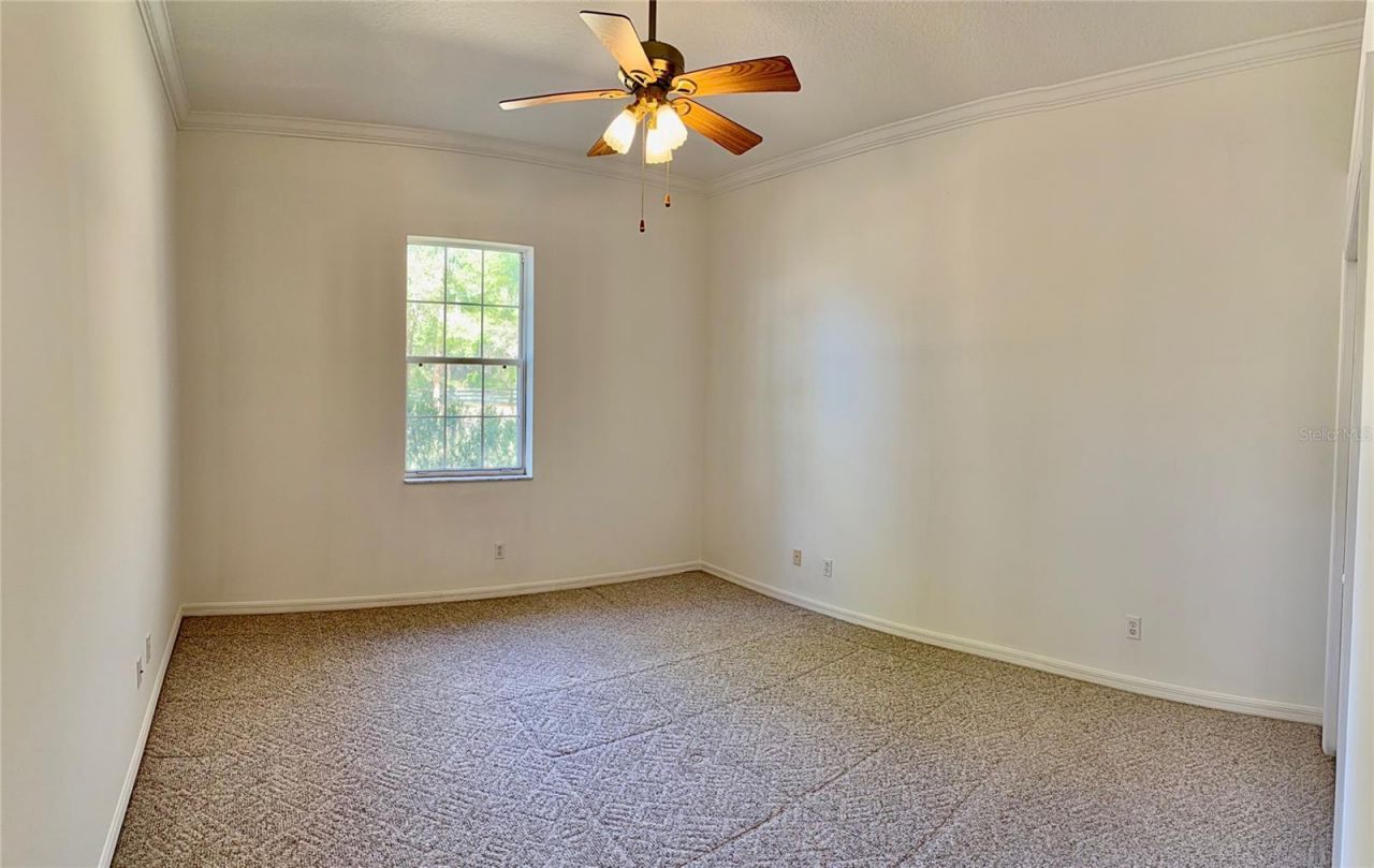 3701 W Anthony Road, Ocala, FL 34475 Photo