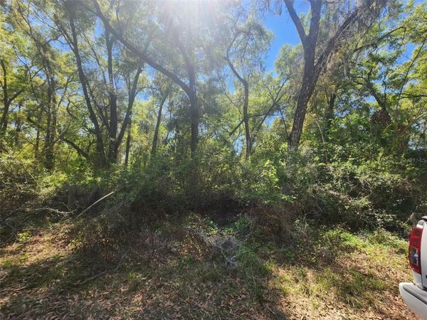 SE 28TH CT. , SUMMERFIELD, FL 34491