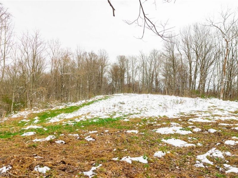 36863 Township Road 10, Macksburg, OH 45746 Photo 17