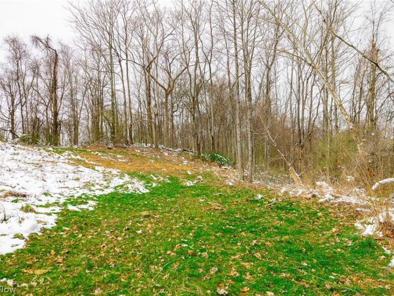 36863 Township Road 10, Macksburg, OH 45746 Photo 18