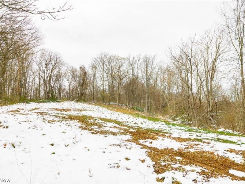 36863 Township Road 10, Macksburg, OH 45746 Photo 19