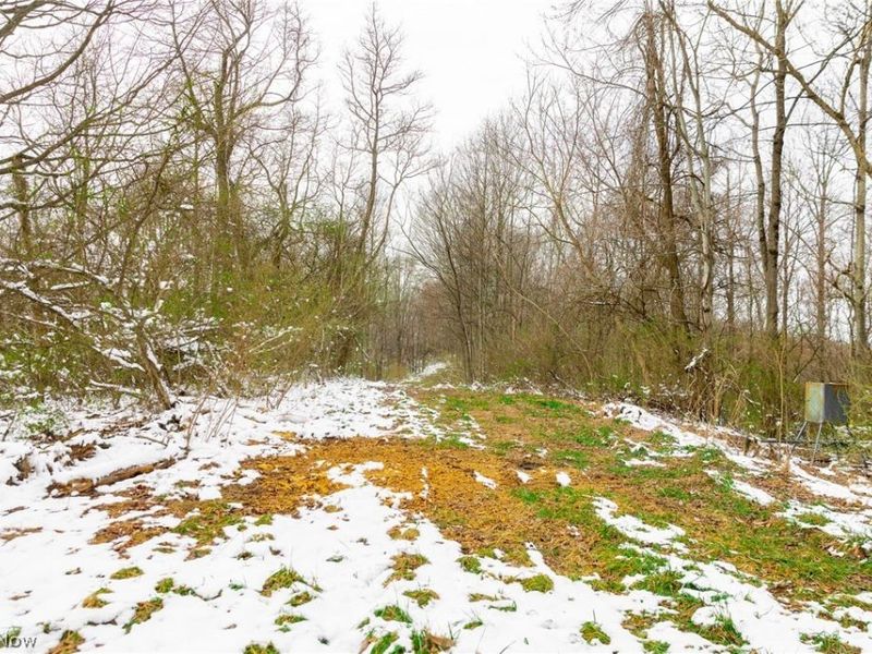 36863 Township Road 10, Macksburg, OH 45746 Photo 20