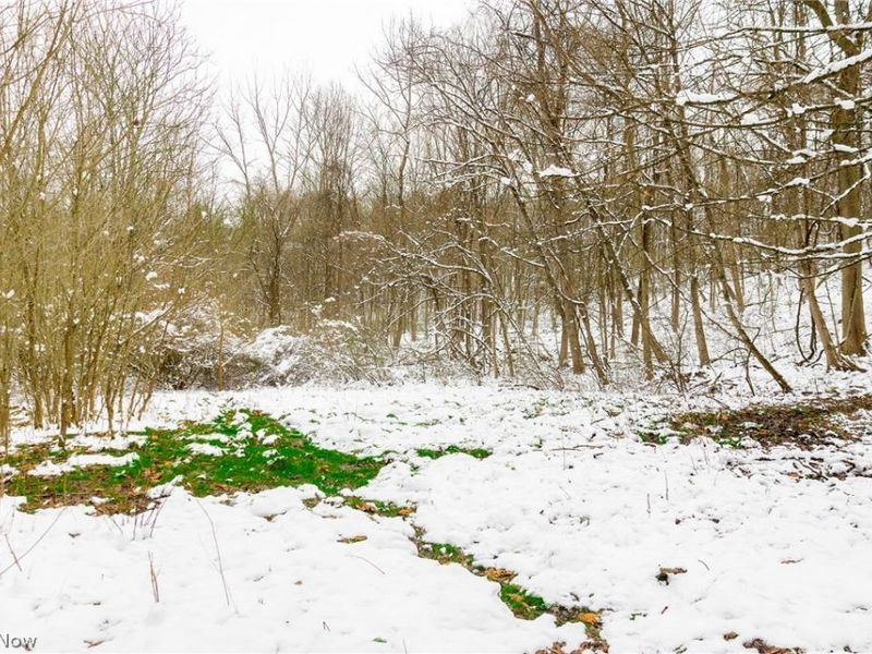 36863 Township Road 10, Macksburg, OH 45746 Photo 21