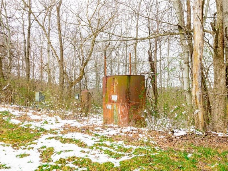 36863 Township Road 10, Macksburg, OH 45746 Photo 24