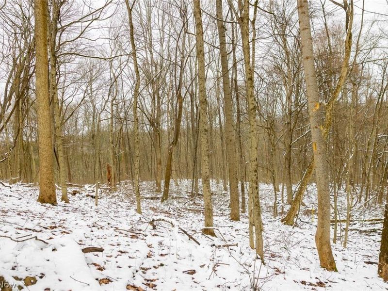 36863 Township Road 10, Macksburg, OH 45746 Photo 26