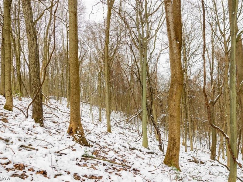 36863 Township Road 10, Macksburg, OH 45746 Photo 27