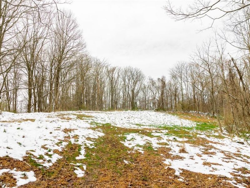 36863 Township Road 10, Macksburg, OH 45746 Photo 28