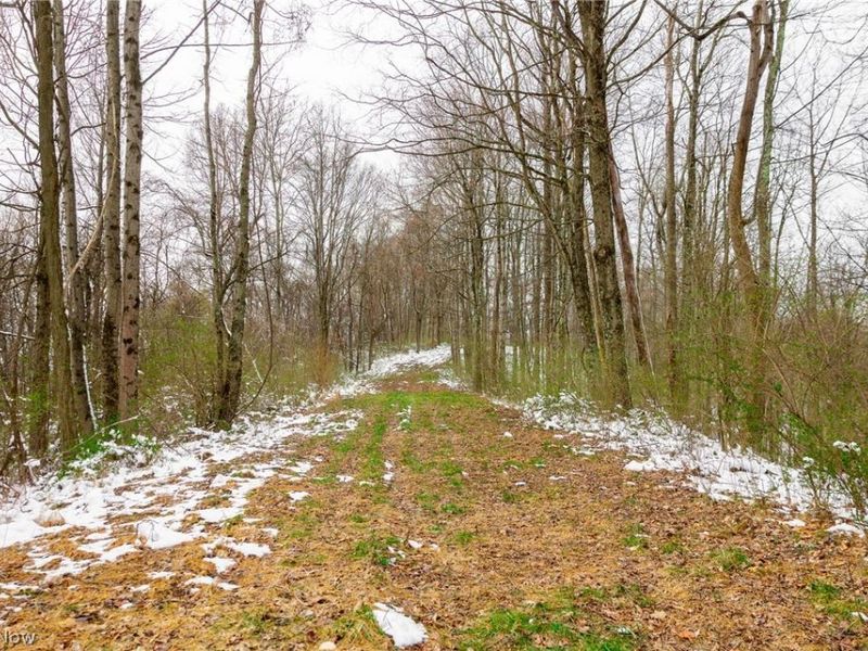 36863 Township Road 10, Macksburg, OH 45746 Photo 29