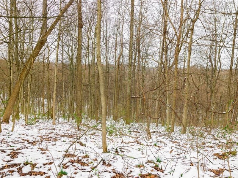 36863 Township Road 10, Macksburg, OH 45746 Photo 30