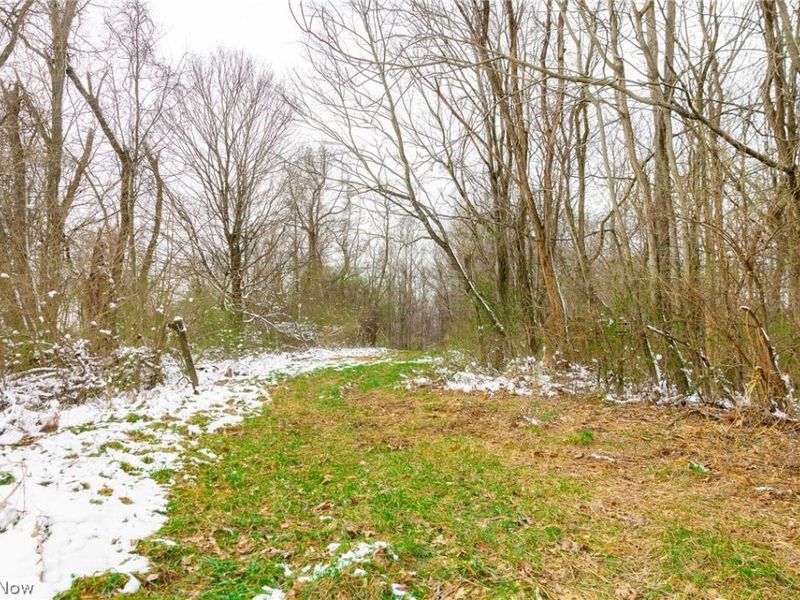 36863 Township Road 10, Macksburg, OH 45746 Photo 31