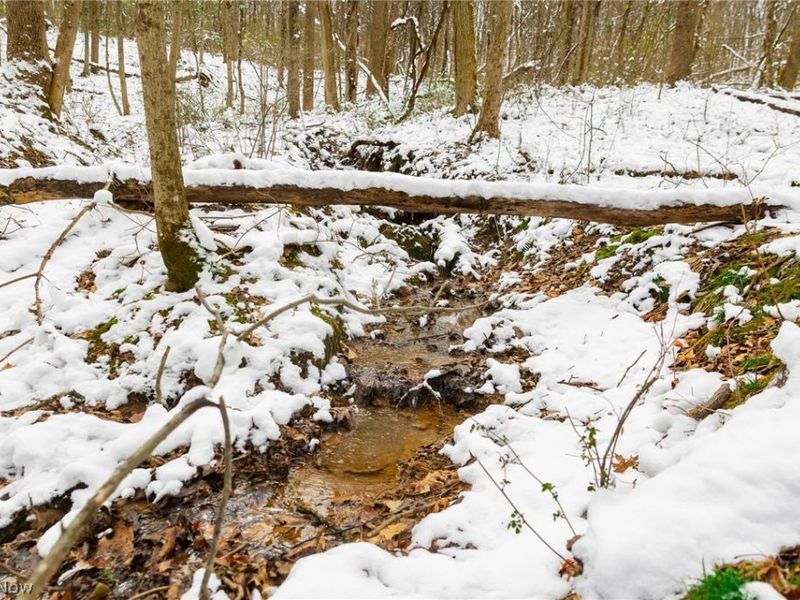 36863 Township Road 10, Macksburg, OH 45746 Photo 32