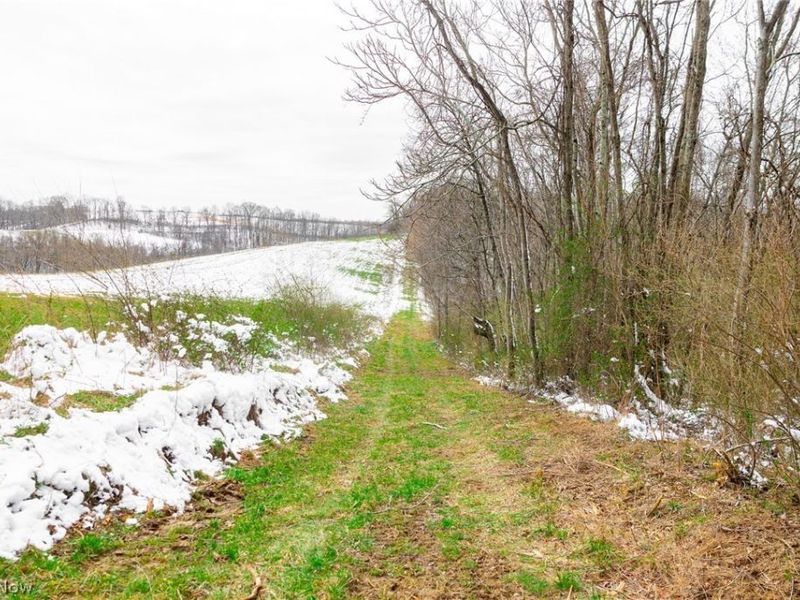 36863 Township Road 10, Macksburg, OH 45746 Photo 5