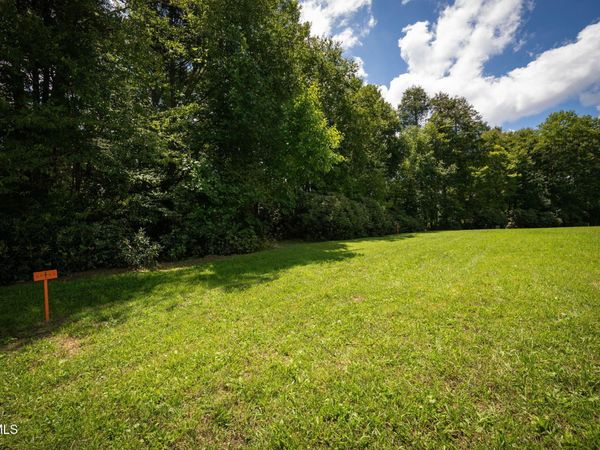 1772 Ripshin Mountain Road, Roan Mountain, TN 37687