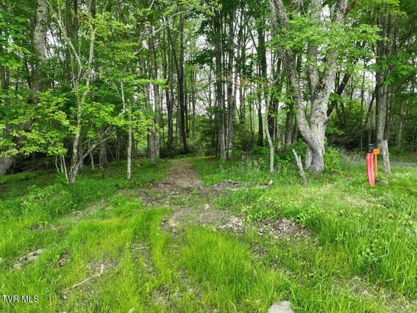 1776 Ripshin Mountain Road, Roan Mountain, TN 37687