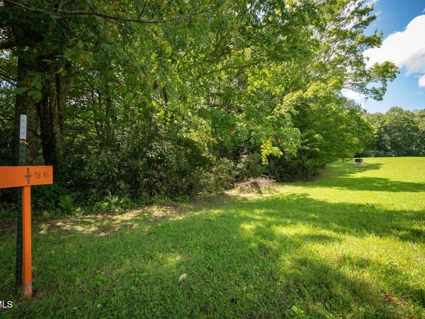 1776 Ripshin Mountain Road, Roan Mountain, TN 37687