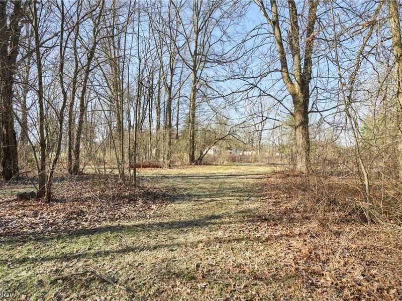 V/L 20 AC Ridgewood Road, Fairlawn, OH 44333 Photo 2
