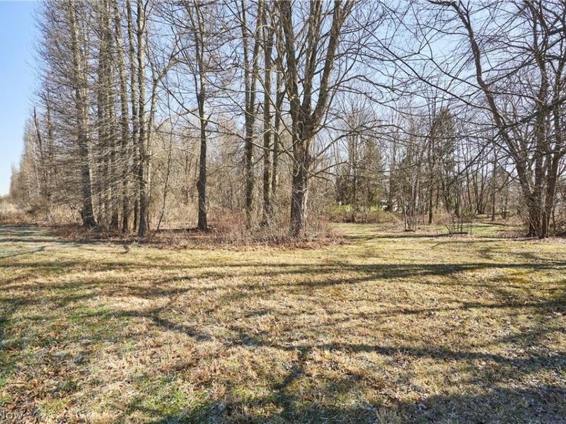 V/L 20 AC Ridgewood Road, Fairlawn, OH 44333 Photo 3