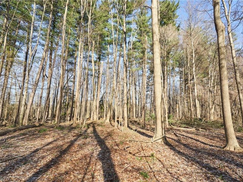 V/L 20 AC Ridgewood Road, Fairlawn, OH 44333 Photo 4