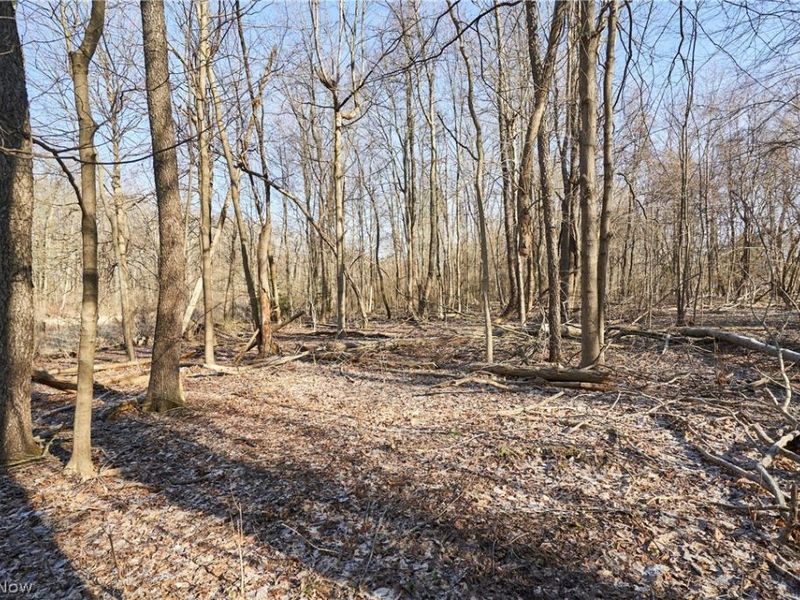 V/L 20 AC Ridgewood Road, Fairlawn, OH 44333 Photo 5