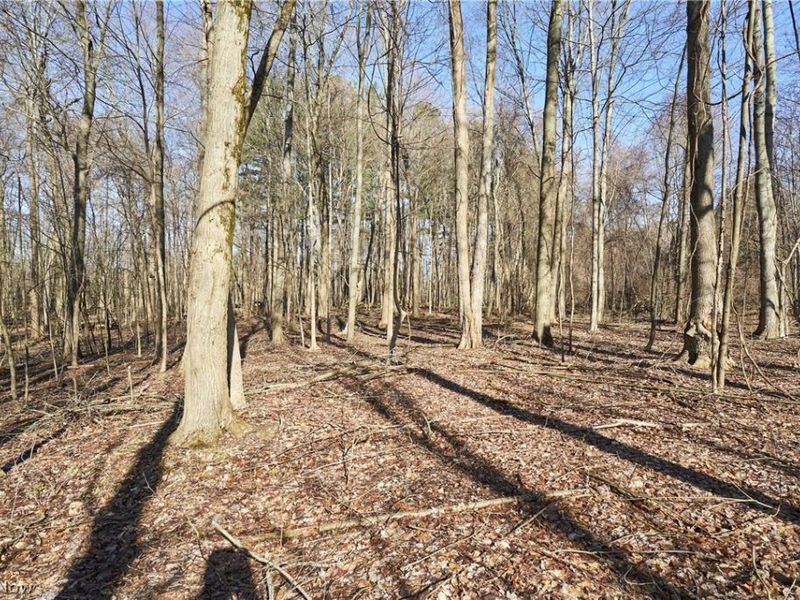 V/L 20 AC Ridgewood Road, Fairlawn, OH 44333 Photo 7