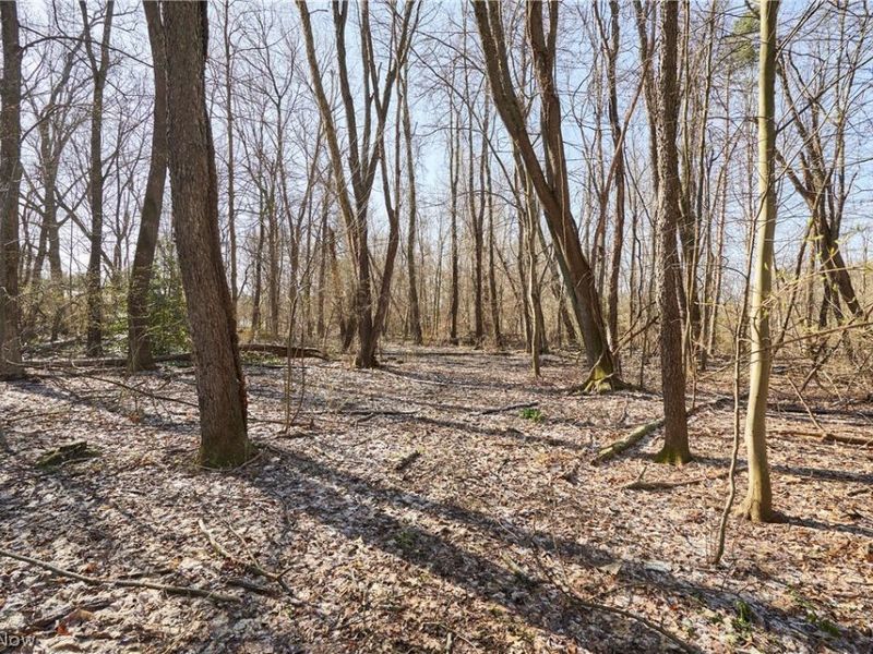 V/L 20 AC Ridgewood Road, Fairlawn, OH 44333 Photo 8