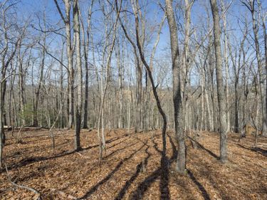Lot 3 Forest Hill View , Lexington, VA 24450