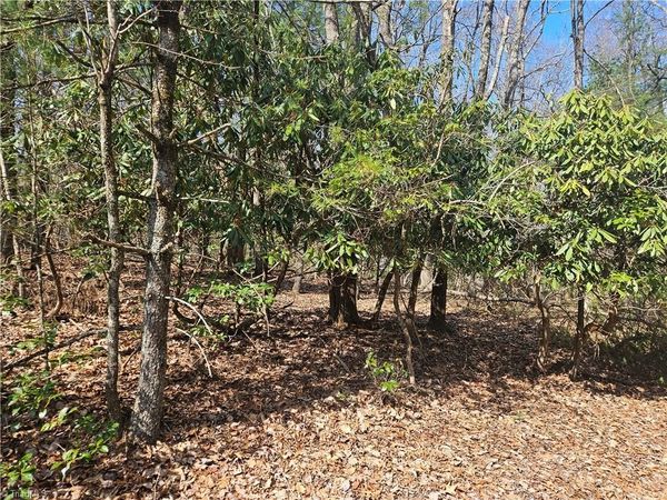 TBD Mt. Retreat Road, Roaring Gap, NC 28668