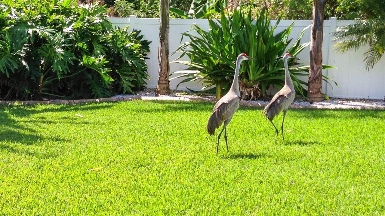 1220 Lake Highview Lane , Brandon, FL 33510 Photo