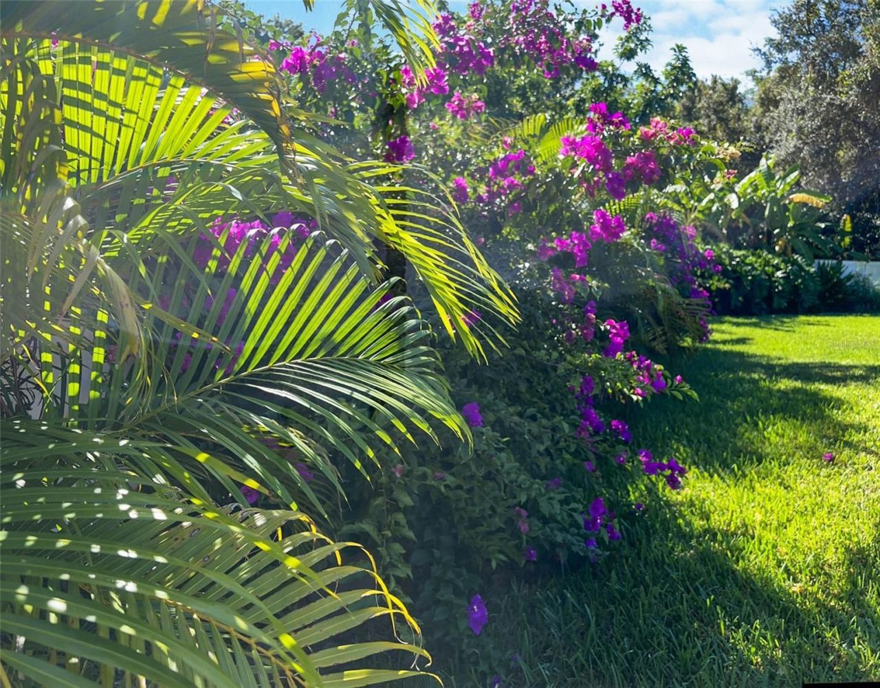 1220 Lake Highview Lane , Brandon, FL 33510 Photo