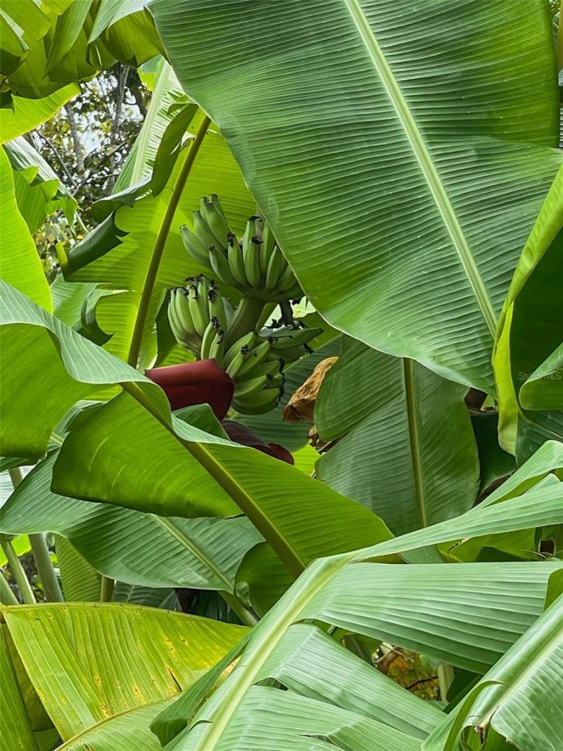 1220 Lake Highview Lane , Brandon, FL 33510 Photo