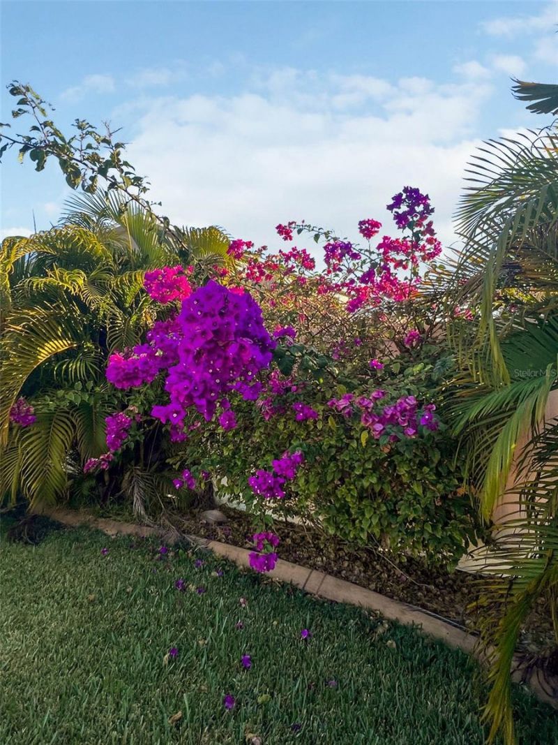 1220 Lake Highview Lane , Brandon, FL 33510 Photo