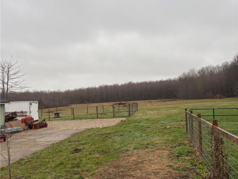 10380 Quarry Road, Amherst, OH 44001 Photo 30