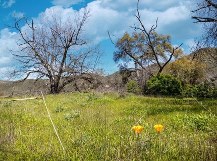 540 Music Gulch Rd, Mokelumne Hill, CA 95245 Photo