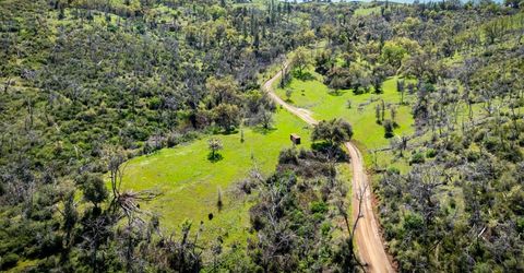 540 Music Gulch Rd, Mokelumne Hill, CA 95245 Photo