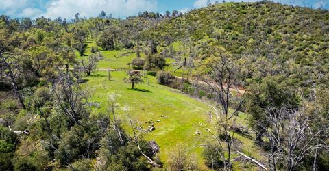 540 Music Gulch Rd, Mokelumne Hill, CA 95245 Photo