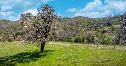 540 Music Gulch Rd, Mokelumne Hill, CA 95245 Photo